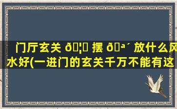 门厅玄关 🦋 摆 🪴 放什么风水好(一进门的玄关千万不能有这些东西)